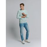 Gebreide Trui - Ice - Regular Fit - Lange Mouwen - Ronde Hals - Ribboord