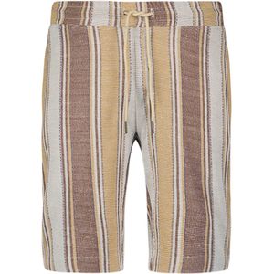 Korte broeken - Multi-kleurige Verticale Strepen - Jersey Short