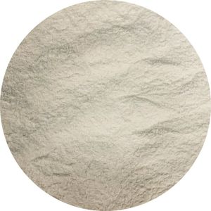 Van Beekum Specerijen Xanthaangom (E415) 20 KG Zak (bulk verpakking)