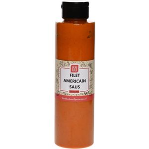 Van Beekum Specerijen - Filet Americain Saus - Knijpfles 500 ml