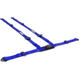 Gordel blauw 4 punts