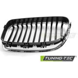 Grill BMW F10 / F11 10-16 CHROOM