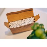 Bamboovement - Bamboe Wattenstaafjes - 100 Stuks - Duurzaam en Milieuvriendelijk