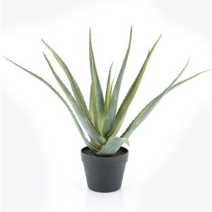 Kunstplant - Groen - Natuurlijke Look - Onderhoudsvriendelijk