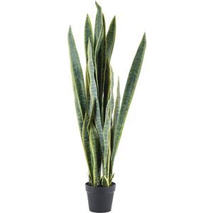 Kunstplant By-Boo Sansevieria  - Large