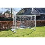 2 * Professioneel Aluminium Goals 300 x 200 incl. net