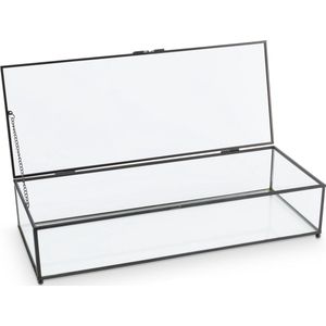 Opbergbox - Transparant - Kunststof - 30L