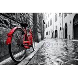 Afbeelding op acrylglas - Rode fiets