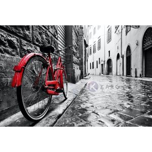 Afbeelding op acrylglas - Rode fiets