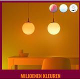 WiZ 8720169072275 intelligente verlichting 11 W