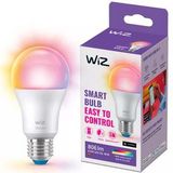 WiZ - Slimme LED Lamp - Gekleurd en Wit Licht - E27 Fitting - Mat