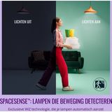 WiZ - Lamp 2-pack - Slimme LED Verlichting - Gekleurd en Wit Licht - E27 Fitting - Mat