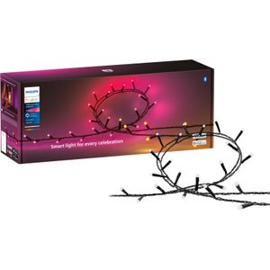 Philips Hue Festavia lichtsnoer - 40 meter - 500 LED's