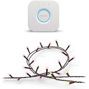 Philips Hue Festavia lichtsnoer - 40 meter - 500 LED's