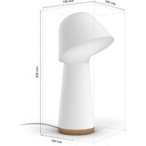 Philips Hue Twilight - White