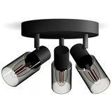 Philips - Palms Spot - Plafondspot - Zwart - Gerookt Glas - E14 Fitting