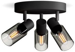 Philips - Palms Spot - Plafondspot - Zwart - Gerookt Glas - E14 Fitting