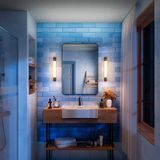 Philips Rover Spiegelverlichting - Spatwaterdicht IP44 - 5W - Warmwit licht - Badkamerlamp - rechthoekig - Zwart