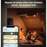 Philips - Hue Runner - Opbouwspot - Zwart - Inclusief Dimmer Switch