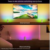 Philips - Hue Play - Tafellamp - Wit - 2-pack