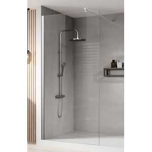 Badplaats Douchewand Florida 50 x 200 cm - Chroom – Inloopdouche 8 mm Veiligheidsglas