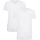 Apollo heren T-shirt Bamboe - V Hals- 2-pack - Wit