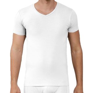 Apollo heren T-shirt Bamboe - V Hals- 2-pack - Wit