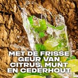 AXE Deodorant Bodyspray - Wild Mojito & Cedarwood - met de onweerstaanbare geur van citrus, munt en cederhout - 6 x 150 ml