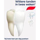 Prodent Whitening System Tandpasta - 12 x 75 ml - Voordeelverpakking