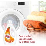 Robijn Vloeibaar Wasmiddel - Color - met 90% biologisch afbreekbare ingrediënten - 20 wasbeurten