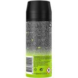AXE Epic Fresh Deodorant Bodyspray - 6 x 150 ml - Voordeelverpakking