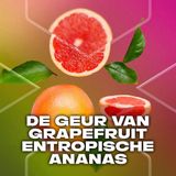 Axe - 3-in-1 Douchegel - Epic Fresh - 250 ml - Natuurlijke Ingrediënten