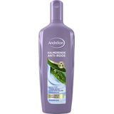 Andrélon Special Shampoo Kalmerende Anti-Roos (300 ml)