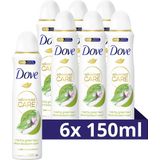 Dove Advanced Care Matcha & Sakura Anti-Transpirant Deodorant Spray - 6 x 150 ml - Voordeelverpakking