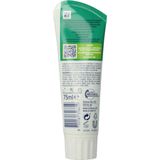 Prodent - Menthol Power - Tandpaste - 75 ml - Calciumformule