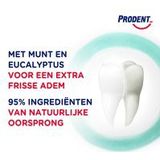 Prodent - Menthol Power - Tandpaste - 75 ml - Calciumformule