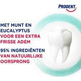 Prodent Tandpasta - Menthol Power - met munt en eucalyptus voor een extra frisse adem en schone tanden - 12 x 75 ml