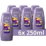 Andrélon Conditioner - Oil & Curl - verrijkt met buriti-olie en murumuru-boter - 6 x 250 ml