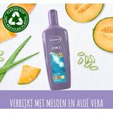 Andrelon Shampoo 2 in 1 300ML