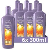 Andrélon Perfecte Krul shampoo - 6 x 300 ml