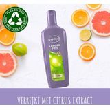 Andrélon Langer Fris shampoo - 6 x 300 ml