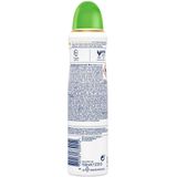 Dove Advanced Care Go Fresh Cucumber & Green Tea Anti-Transpirant Deodorant Spray - 6 x 150 ml - Voordeelverpakking