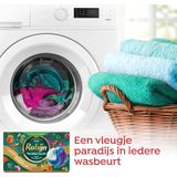 Robijn Collections 3-in-1 Wascapsules - Paradise Secret - 4 x 15 wasbeurten