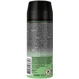 AXE Deodorant Bodyspray - Jungle Fresh - met onze meest onweerstaanbare geur ooit - 6 x 150 ml