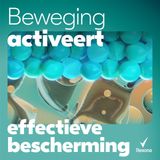 Rexona - Men Advanced Protection - Deodorant Stick - Cobalt Dry - 72 Uur Bescherming