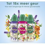 Robijn Intense Wasparfum - Paradise Secret - tot 15x meer geur dan bij gebruik van alleen wasmiddel - 8 x 342 ml