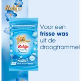 Robijn - Classics - Droogtrommeldoekjes - Morgenfris - 20 Stuks
