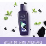 Andrélon Shampoo Men Anti-Roos & Intens Fris 300 ml