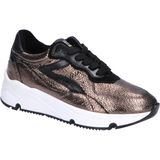 Pinocchio - H1210 Sneakers - H1210-244-94CO-DC