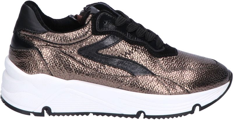 Pinocchio - H1210 Sneakers - H1210-244-94CO-DC